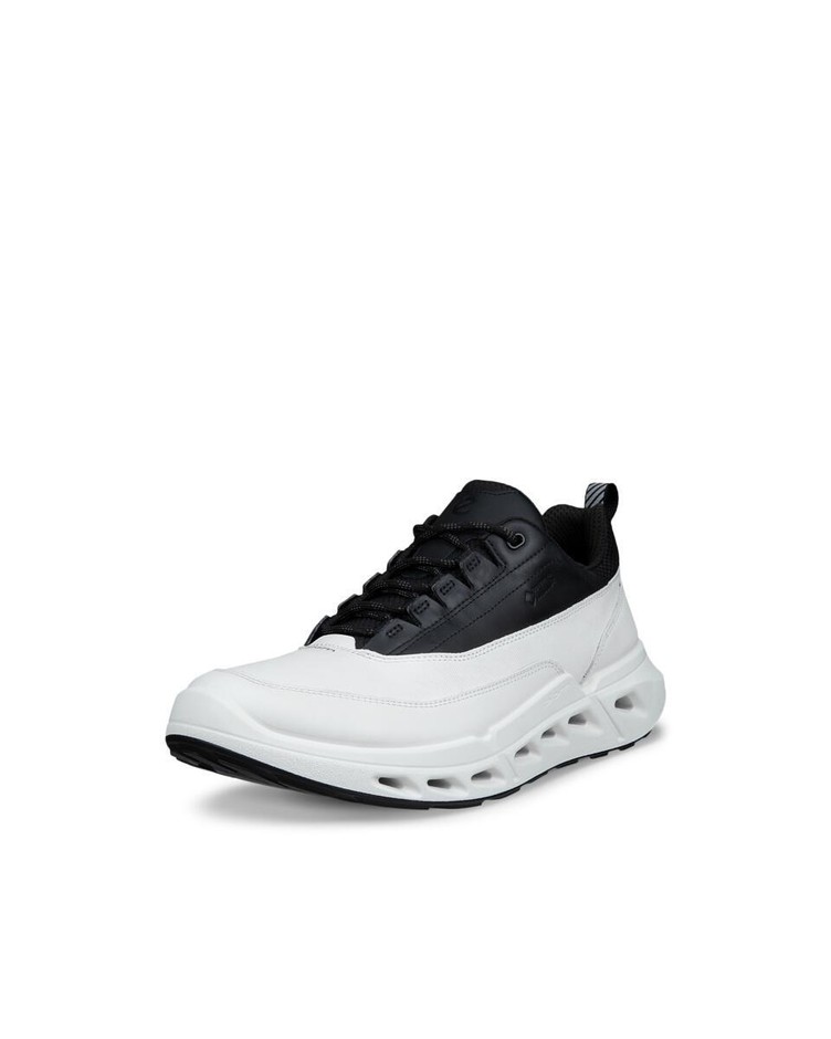 BIOM 720 M