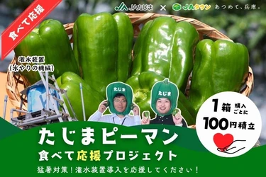猛暑に負けるな！今年も始動【たじまピーマン食べて応援プロジェクト】 かん水（水やり）装置の導入を応援してください。
