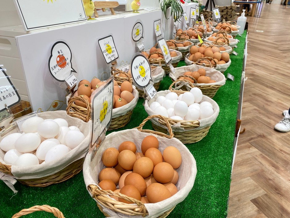 北海道から沖縄まで全国から産みたてのたまごが並ぶ