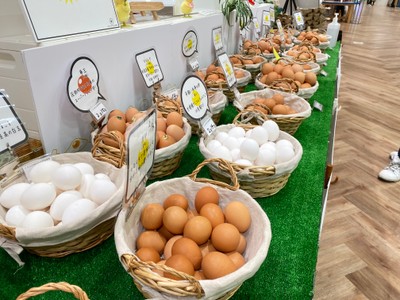 北海道から沖縄まで全国から産みたてのたまごが並ぶ