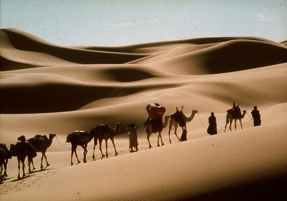 (c)The Sahara Company Limited & Tao Films SRL.1990