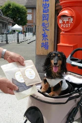 ペット同伴入場を開始してから3年5か月で、 ペット同伴入場受付の累計数が 『5,555(GO！GO！GO！GO！)匹目』に到達！