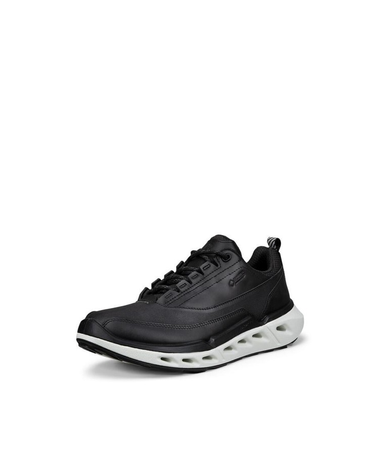 BIOM 720 W