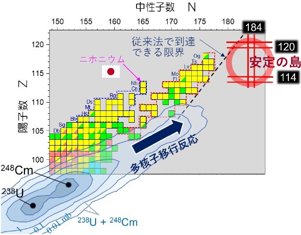 図2 超重元素領域において、これまで人工的に生成された原子核と「安定の島」の位置。「安定の島」は、中性子数=184、陽子数=114(または120)の魔法数※5 で生じ、原子核を安定化させる。等高線は、ウランをキュリウム(原子番号96)標的にぶつけた際に、多核子移行反応によって生成される様々な複合核の確率分布(理論計算)を示す。分布の先に、「安定の島」が見える。
