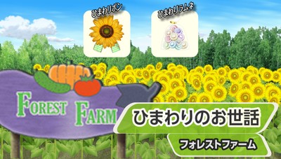 『ひまわりのお世話』