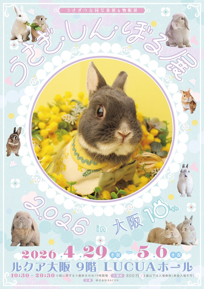 うさぎしんぼる展 キービジュアル(縦)