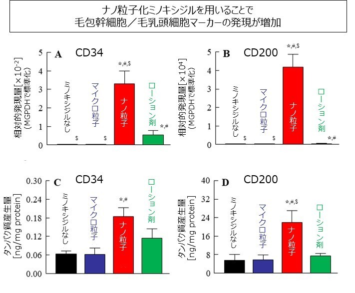 図4　（A、B）遺伝子発現量および（C、D）タンパク質産生量の評価　N=8-13、*p < 0.05 vsミノキシジルなし，#p < 0.05 vsマイクロ粒子、$p < 0.05 vsローション剤　出展：Biol. Pharm. Bull., 47(12), 2024.（一部改変）