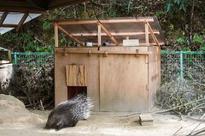 完成した小屋