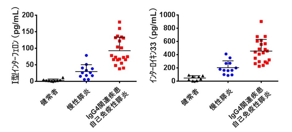 (図)健常者8人、慢性膵炎患者12人、自己免疫性膵炎・IgG4関連疾患患者21人の血清中のI型インターフェロンとインターロイキン33を測定した。自己免疫性膵炎・IgG4関連疾患患者では健常者や慢性膵炎患者と比べ、血清中のI型インターフェロンとインターロイキン33が高値を示した。