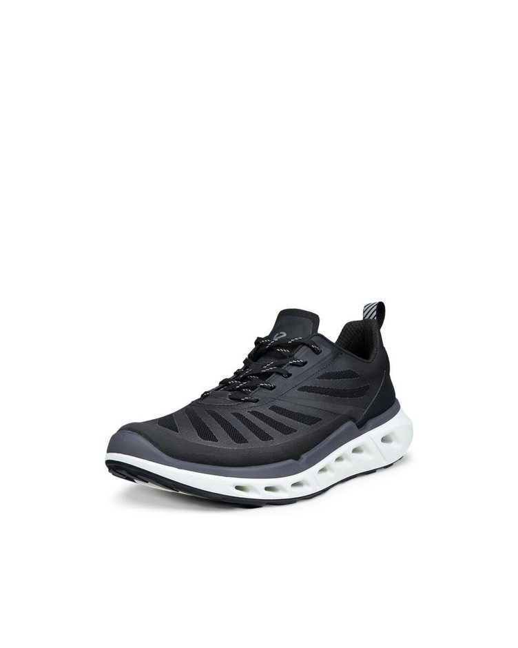 BIOM 720 W