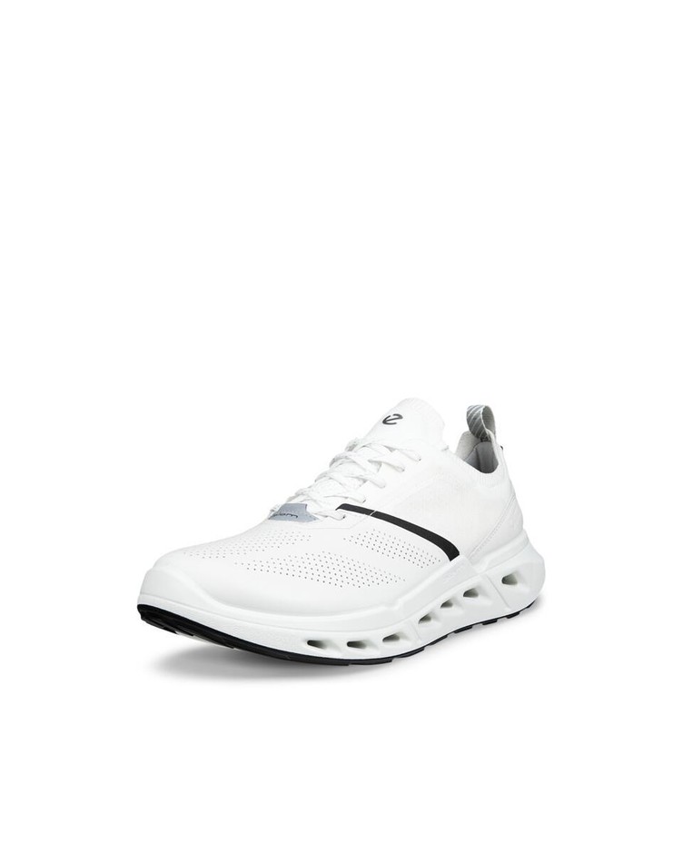 BIOM 720 M