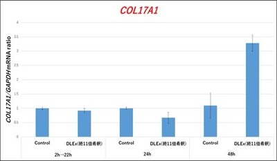 17型コラーゲンα1遺伝子誘導効果