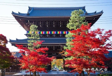通常非公開　京都・くろ谷 金戒光明寺　秋の特別拝観　 2026年11月13日(金)～12月6日(日)　開催