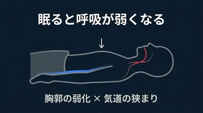 医学が言わない──多くの人は眠りながら体を衰弱させているという"深刻な構造"　睡眠中に呼吸の質が低下する因果を、体の構造から明らかにする。シリーズ第1回