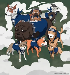 明日より開催！『NARUTO＆BORUTO 忍里』はたけカカシ誕生祭
「いでよ、相棒！口寄せの術」に“八忍犬”が登場！