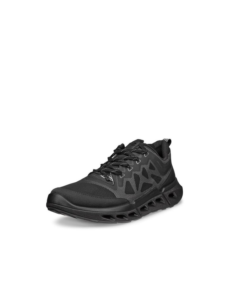 BIOM 720 W