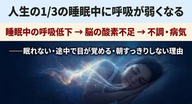 医学が見落としてきた"不眠症の原因"睡眠呼吸の視点でまとめる━━人生の1/3の睡眠中に呼吸が弱くなる─シリーズ第5回　