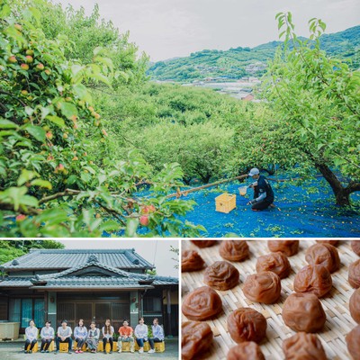 和歌山県みなべ町の梅農家「梅ボーイズ」