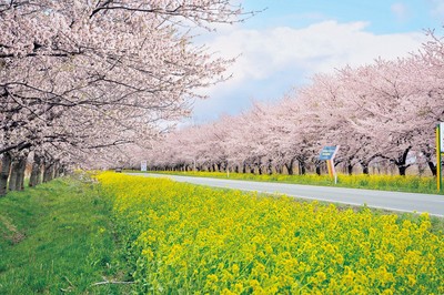 大潟村産業振興課 提供