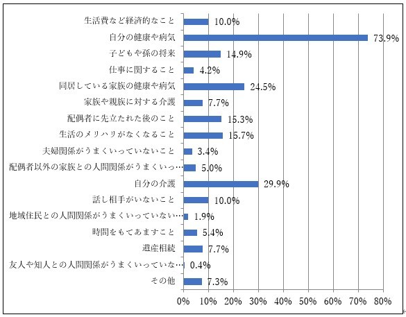 〈消費者調査結果〉 日常生活を送る上で感じる悩みやストレス(団塊世代)