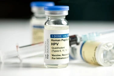 HPVワクチンの「副反応」仮説をマウスを用いた実験で反証　ワクチンの安全性を示し、接種の不安を解消する研究成果
