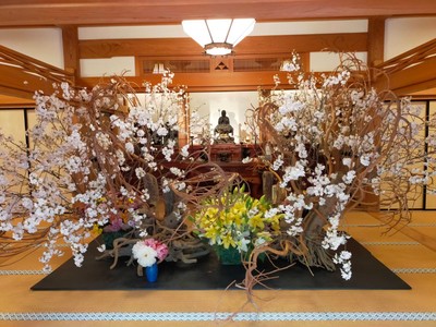 展示作品