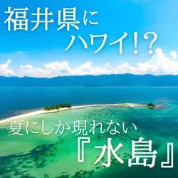 福井県の無人島「水島」へのフェリー運航が7月13日開始　 7～8月しか渡ることのできない“海の楽園・北陸のハワイ”