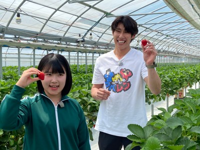 ５品種をイチゴ狩り