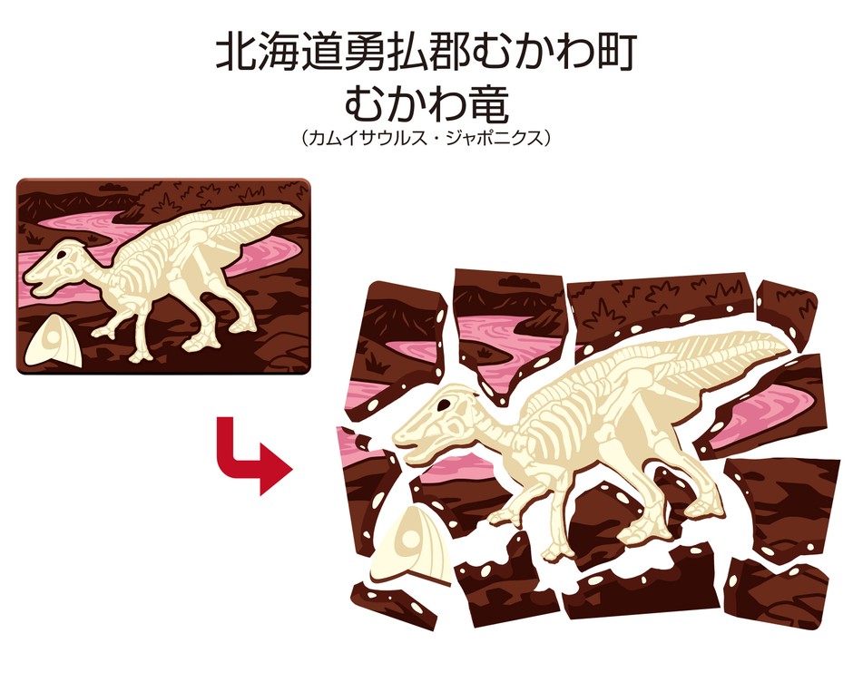 「キャラパキ発掘恐竜チョコ」×「むかわ竜(カムイサウルス・ジャポニクス)」