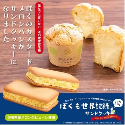 ぼくも世界記録とりたいなサンドクッキー