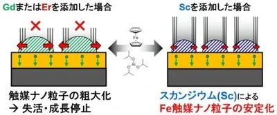 カーボンナノチューブを効率よく成長させる触媒を開発　高品質なカーボンナノチューブを生む新たな合成法の開発に期待