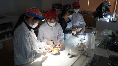 産官学連携の実践型「防災研修」　大阪国際大学短期大学部栄養学科×大阪ガスネットワーク(株)×守口市危機管理室