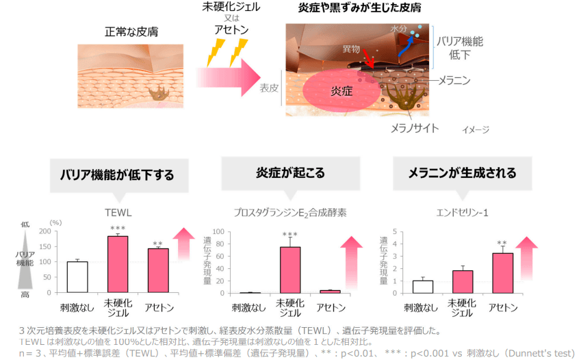 図1 未硬化ジェルやアセトンによる手湿疹(炎症)や黒ずみの発症機序を解明