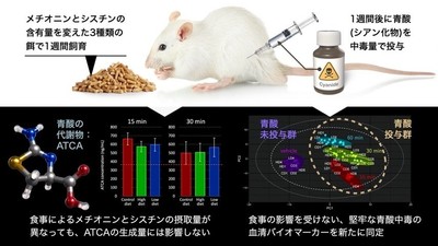 本研究の概要図（サイエンスデザイナー　髙橋一誠氏　作成）