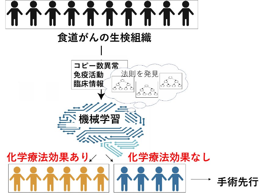 図3 ゲノム情報を用いた化学療法の効果予測