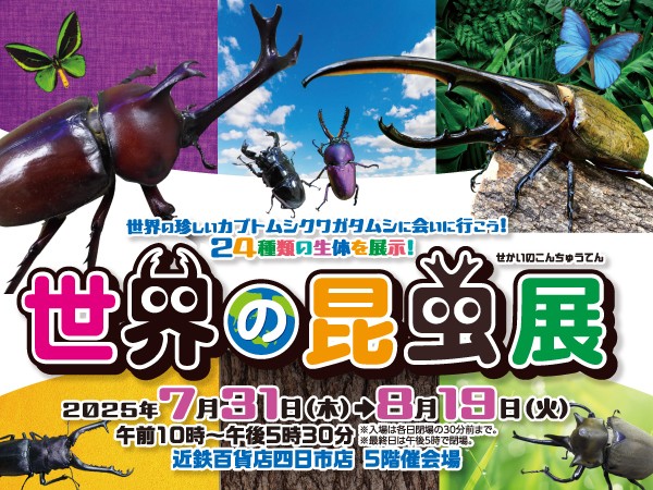 世界の昆虫展