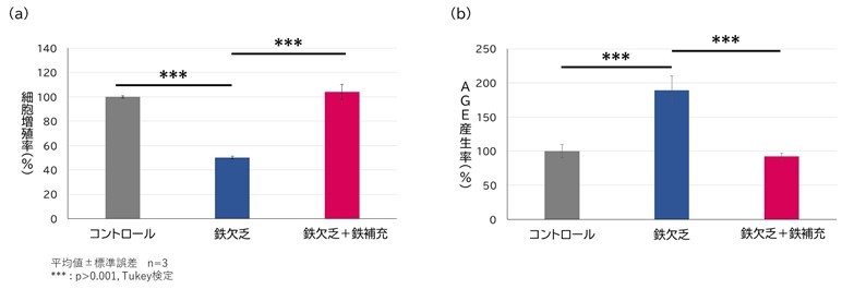 図3. 線維芽細胞における鉄の細胞増殖率及びAGE産生率に対する影響