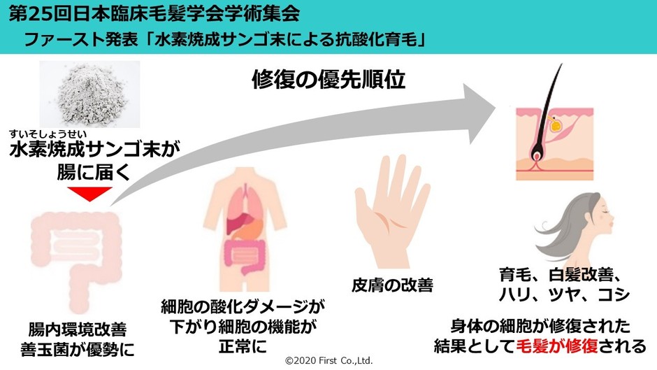 図表1:水素焼成サンゴ末による毛髪改善ステップ(事業者様向けスライド資料の一部)