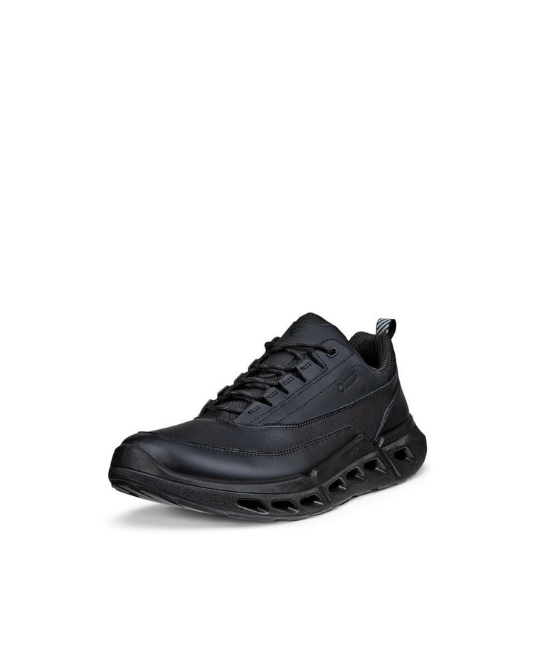 BIOM 720 M