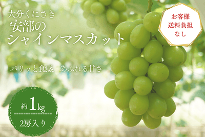 シャインマスカット(約1kg)
