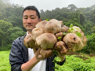露地栽培アガリクスと東栄新薬社長：元井章智