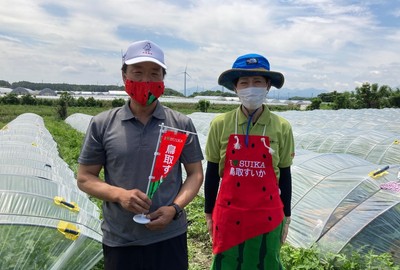 鳥取すいかの生産者さん