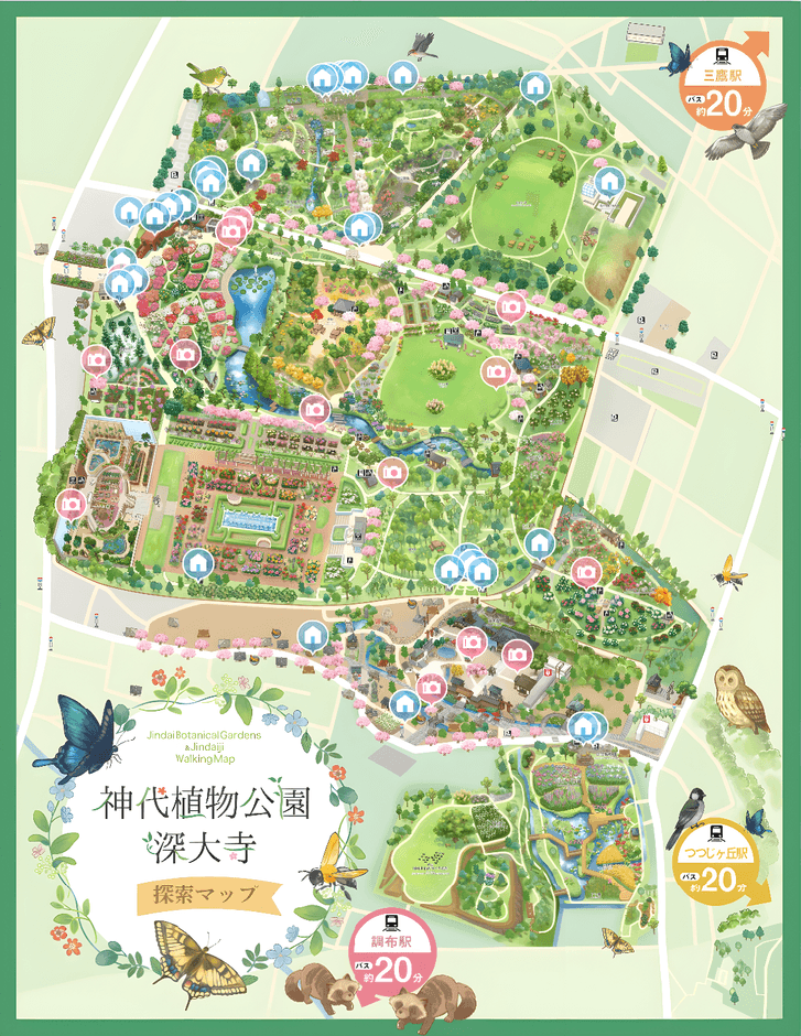 デジタルマップイメージ(TOP画面)