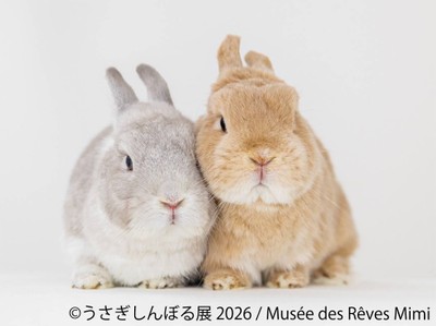展示作品：Musee des Reves Mimi