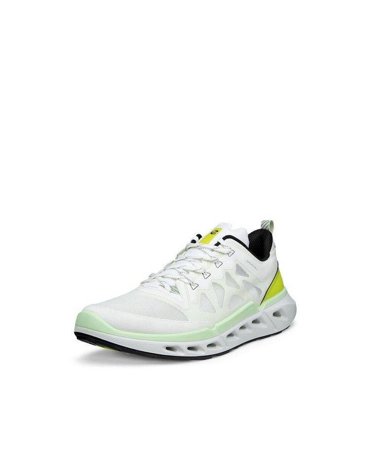 BIOM 720 M