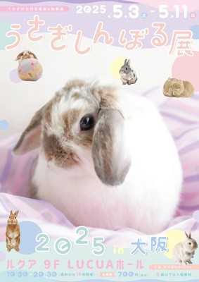 うさぎしんぼる展 キービジュアル