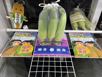 「野菜がクレーンゲームの景品に！？九州県内の楽市楽座に旬のとうもろこしが登場」