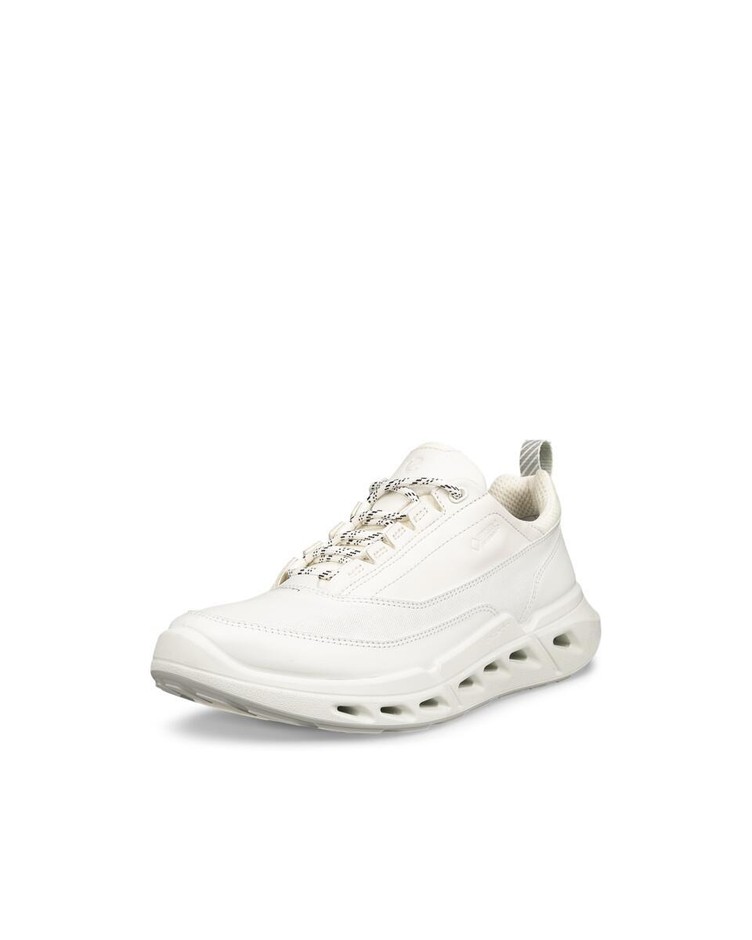 BIOM 720 W