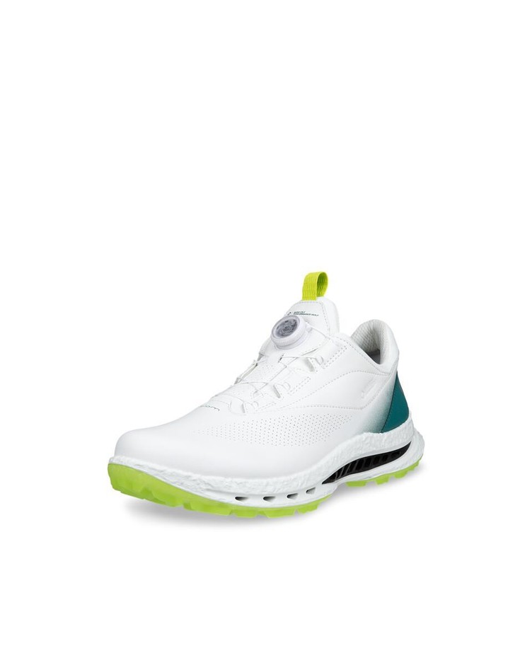 GOLF BIOM C5 BOA
