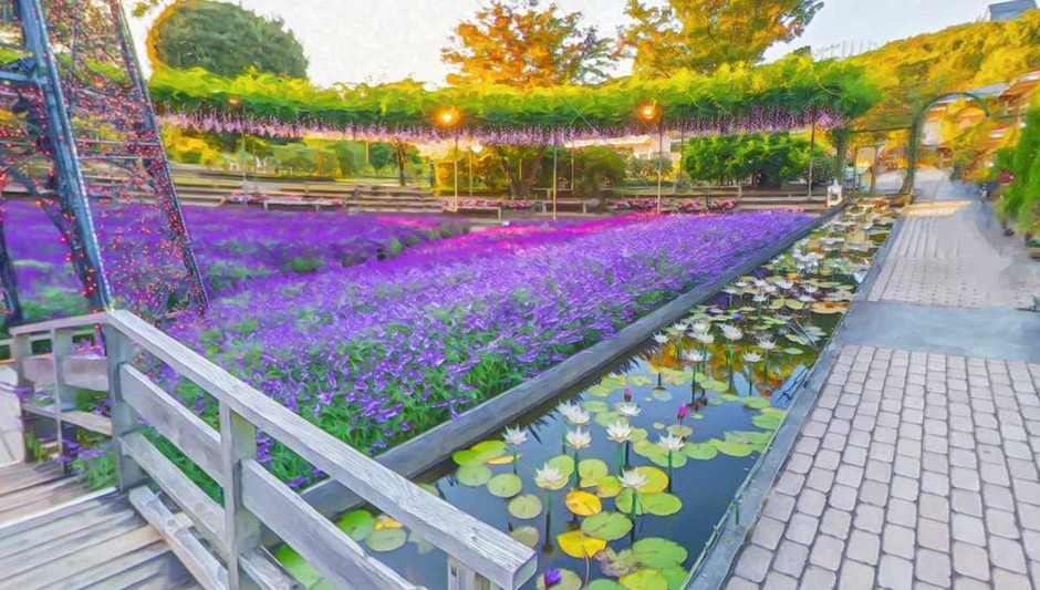 園内|秋の風景